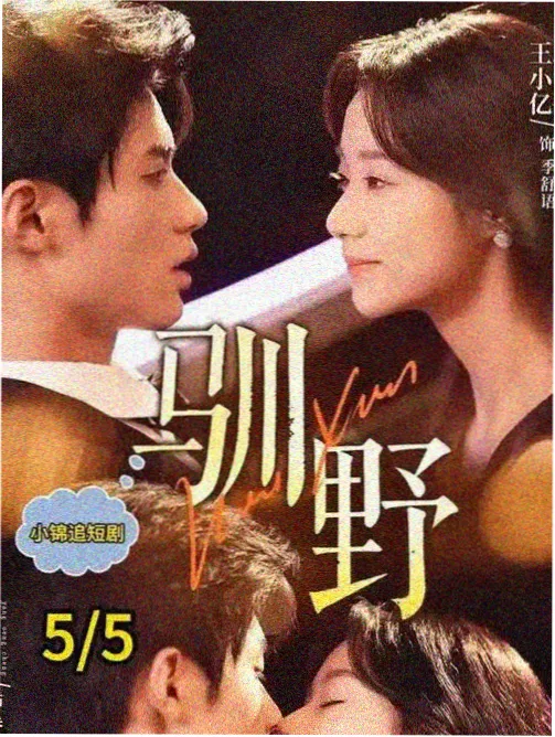 秋霞高清电影热播剧集《长夜书》海报